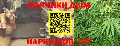 молекула духа Кингисепп