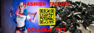 молекула духа Кингисепп