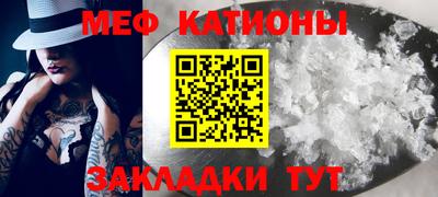 молекула духа Кингисепп